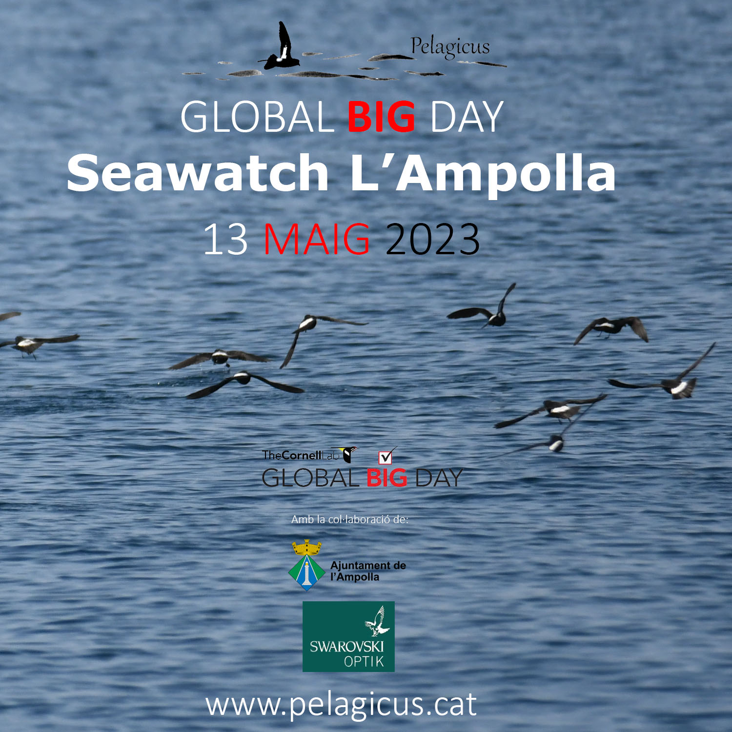 GBDseawatch2023_logo