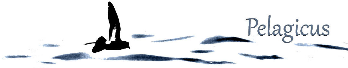Pelagicus