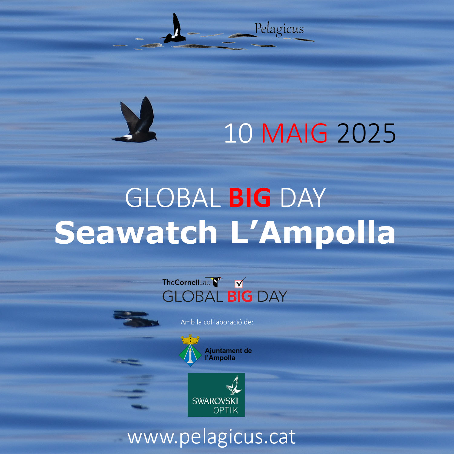 GBDseawatch2025_logo